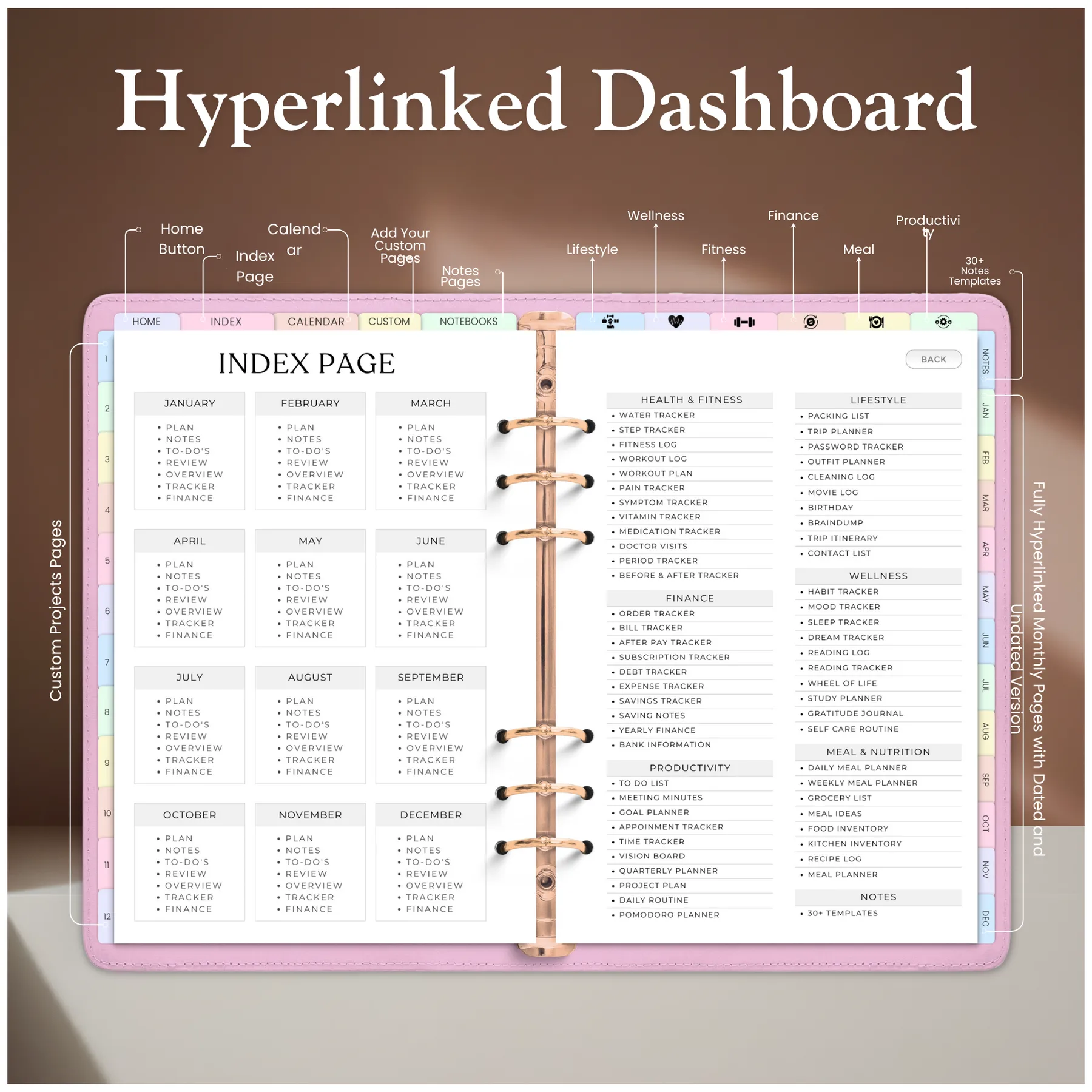 Annotated diagram of the hyperlinked dashboard highlighting custom project pages and monthly navigation
